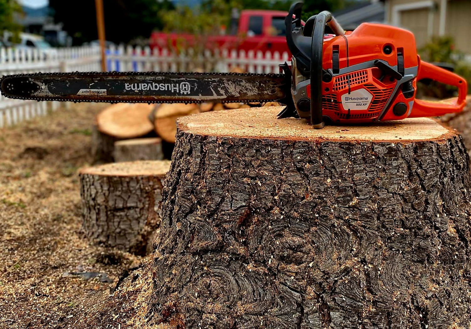 TreesBrush+US-Roseburg-Oregon-Douglas-County-Tree-Service-Stump-Removal (2)