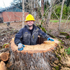 Joe-treesbrushus-roseburg-oregon-drain-glide-coosbay--employee-inside-tree-stump-for-stump-grinding-stump-removal-service-best-local-tree-service Joe-treesbrushus-roseburg-oregon-drain-glide-coosbay--employee-inside-tree-stump-for-stump-grinding-stump-removal-service-best-local-tree-service
