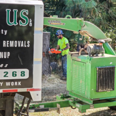employee-mike-removing-tree-stump-removal-treesbrushus-douglas-counties-premiere-tree-service-company-roseburg-glide-melrose-ideyld-coos-bay employee-mike-removing-tree-stump-removal-treesbrushus-douglas-counties-premiere-tree-service-company-roseburg-glide-melrose-ideyld-coos-bay